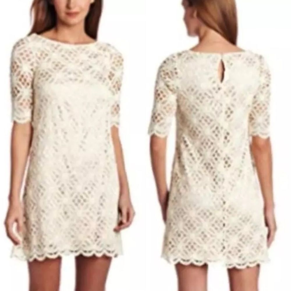 NWT JAX (Black Label) 3/4 Sleeve Crochet Lace Overlay Shift Dress Cream Tan 4